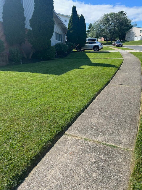 Now servicing multiple homes in Pikesville neighborhoods. Limited weekly route openings for Spring 2026. Now servicing multiple homes in Pikesville neighborhoods. Limited weekly route openings for Spring 2026.